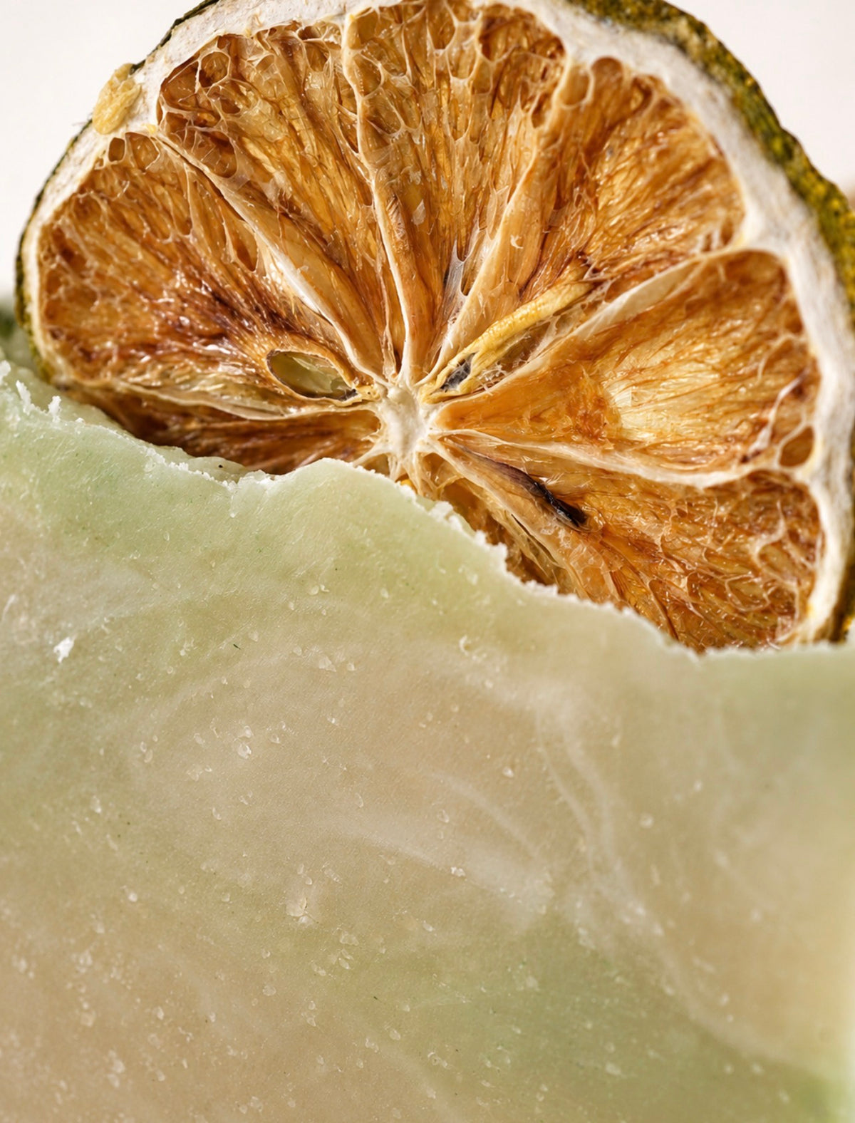 Pacific Yuzu
